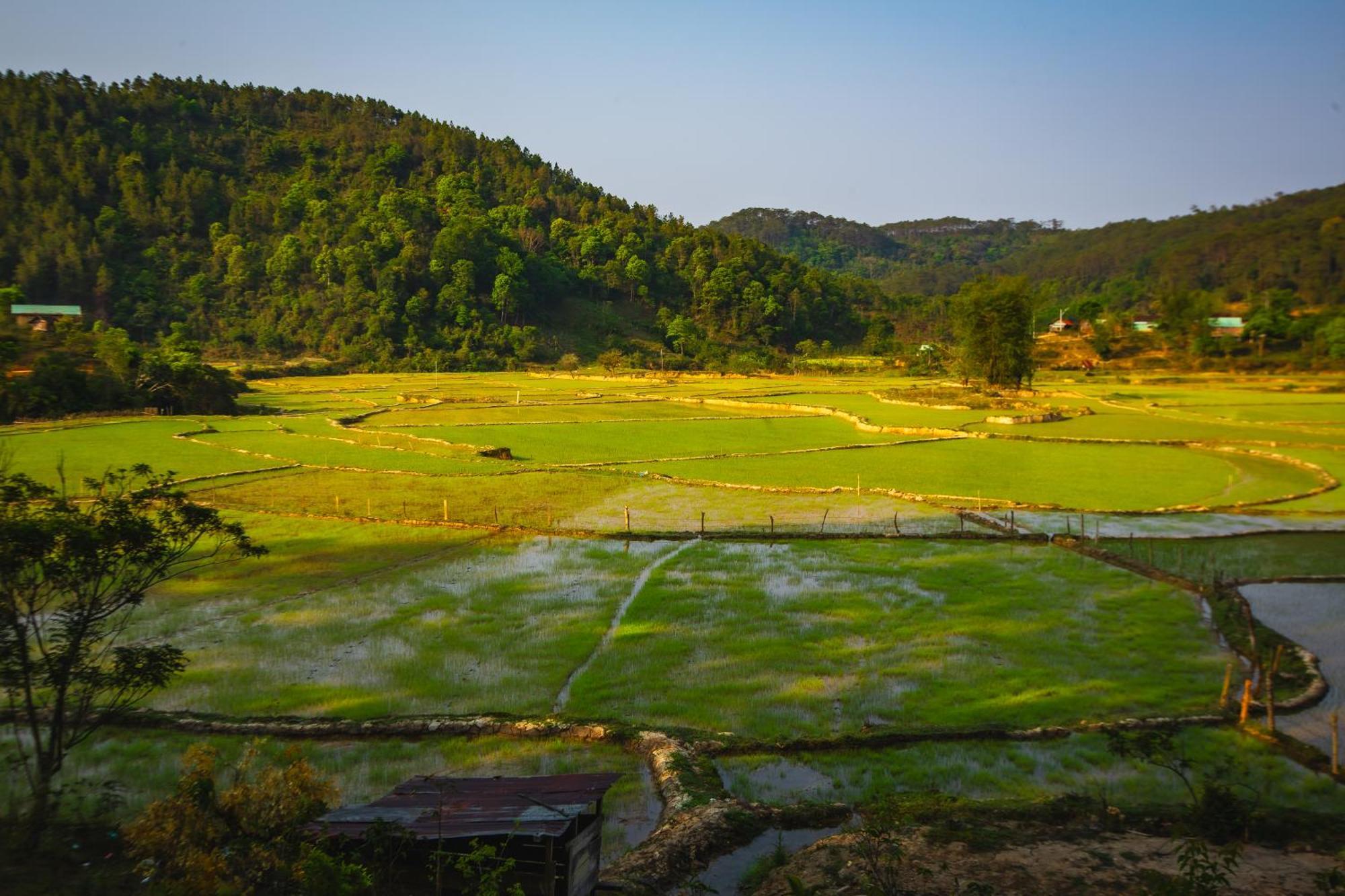 Nha Trong Ban - Homestay Mang Den Kon Von Kla Экстерьер фото