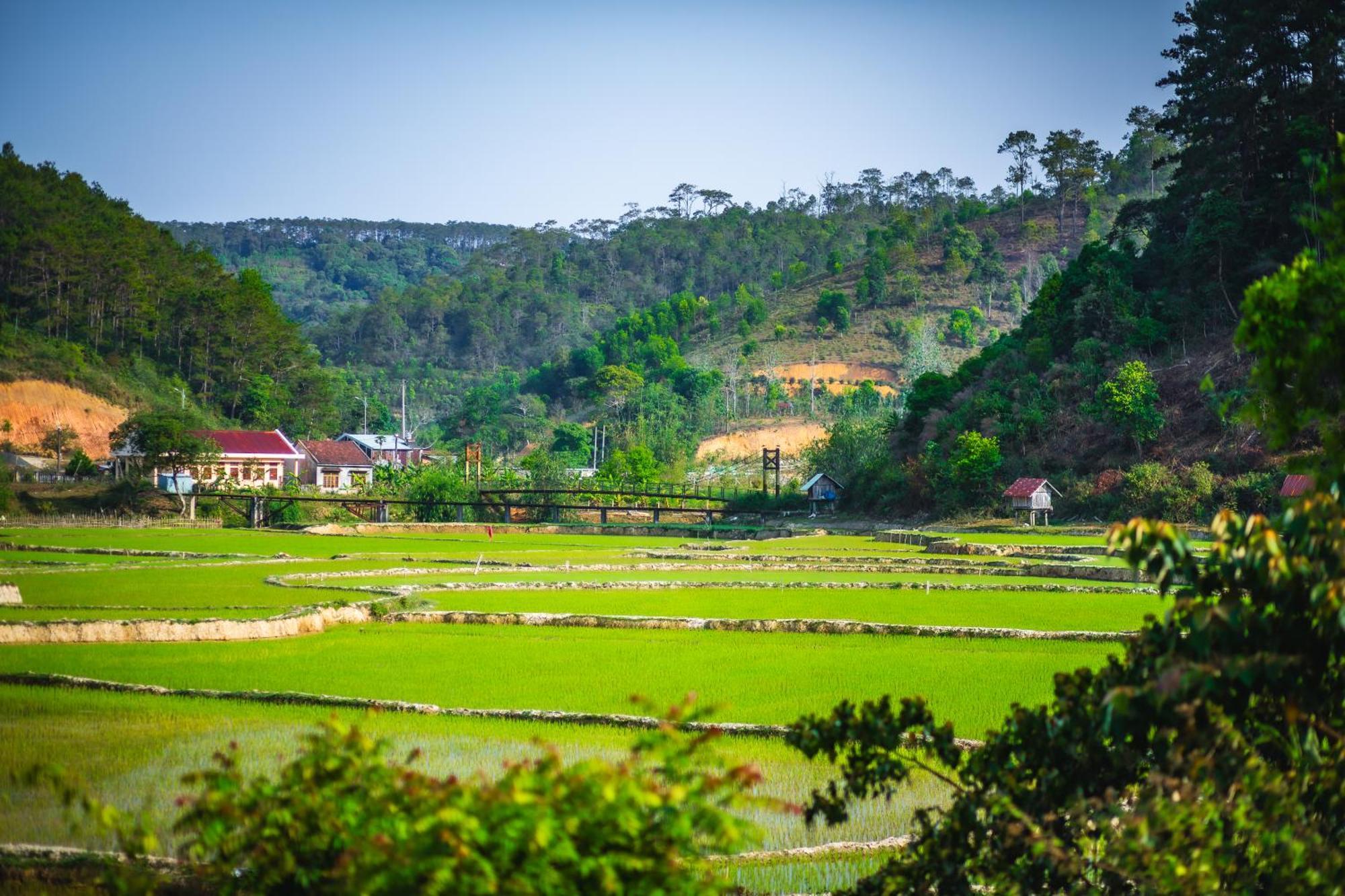 Nha Trong Ban - Homestay Mang Den Kon Von Kla Экстерьер фото